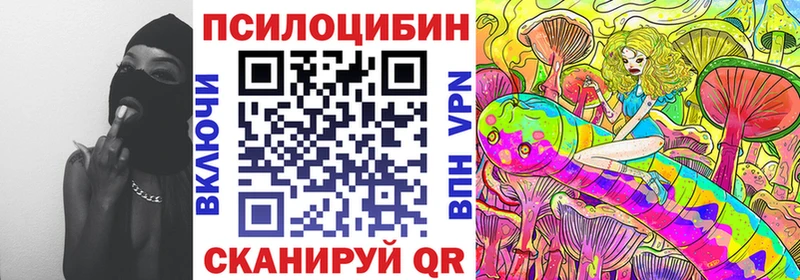 MEGA   где можно купить   Кашира  Галлюциногенные грибы Psilocybine cubensis 