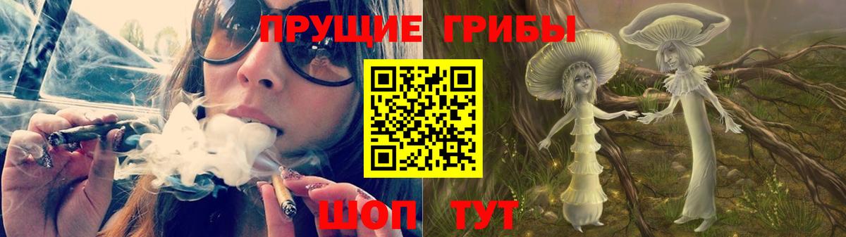 Псилоцибиновые грибы прущие грибы Кашира