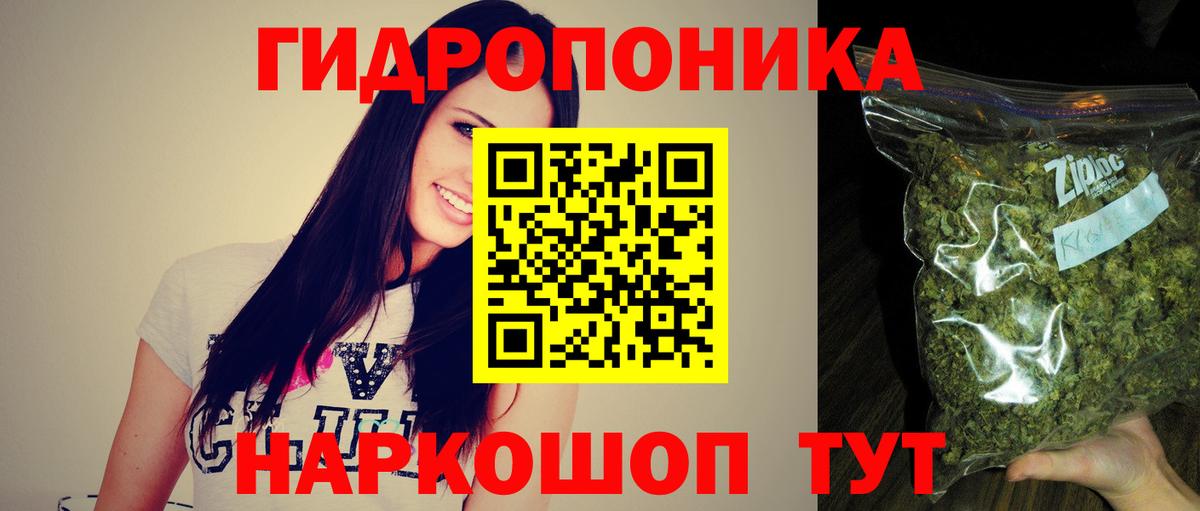 Конопля план Кашира