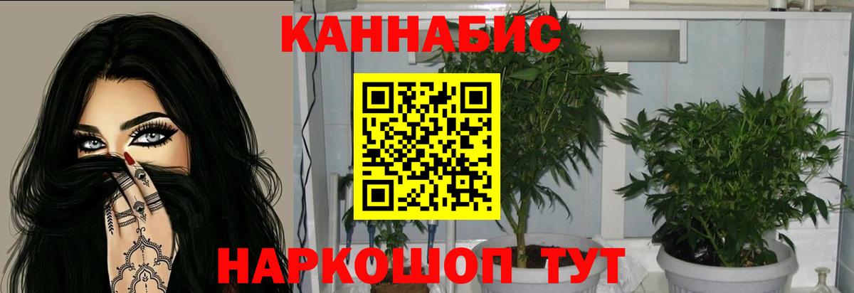 МАРИХУАНА MAZAR  МАРИХУАНА индика  Шишки марихуана Ganja  Вход с VPN  Кашира 
